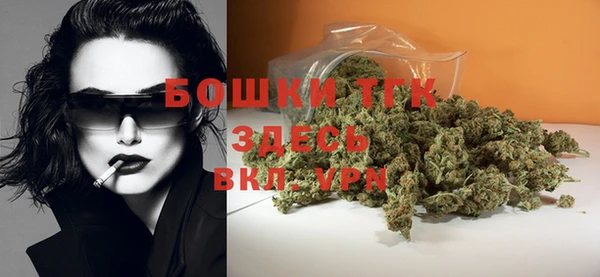 ешки Аркадак