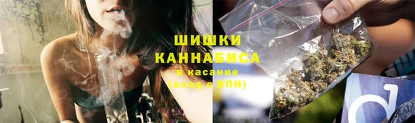 сатива Арсеньев