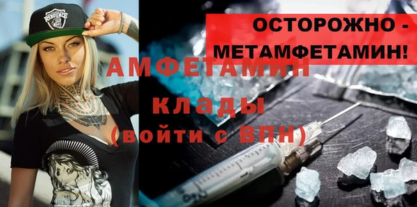 шишки Алексин